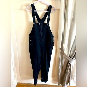 RARE Universal Standard Overalls